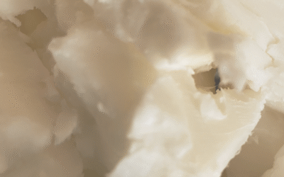 Le beurre de karité : une pépite cosmétique